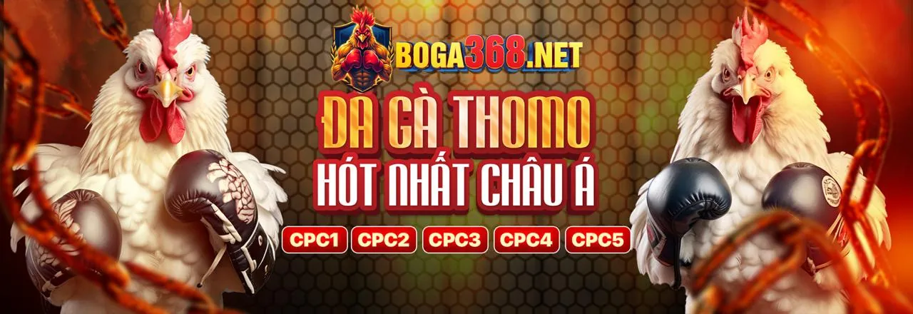 Cách 13win21 casino thu thập và sử dụng dữ liệu