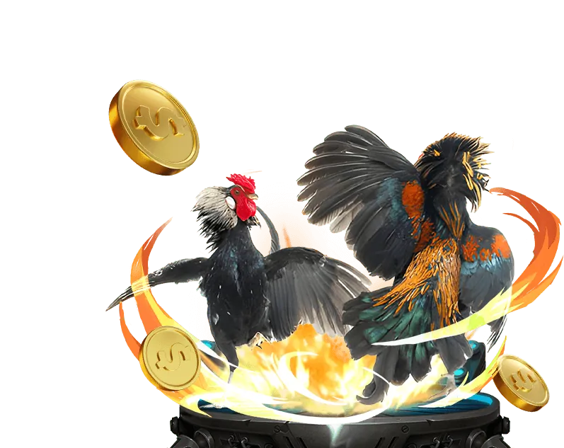 Cá cược thể thao sôi động tại 13win21 Casino